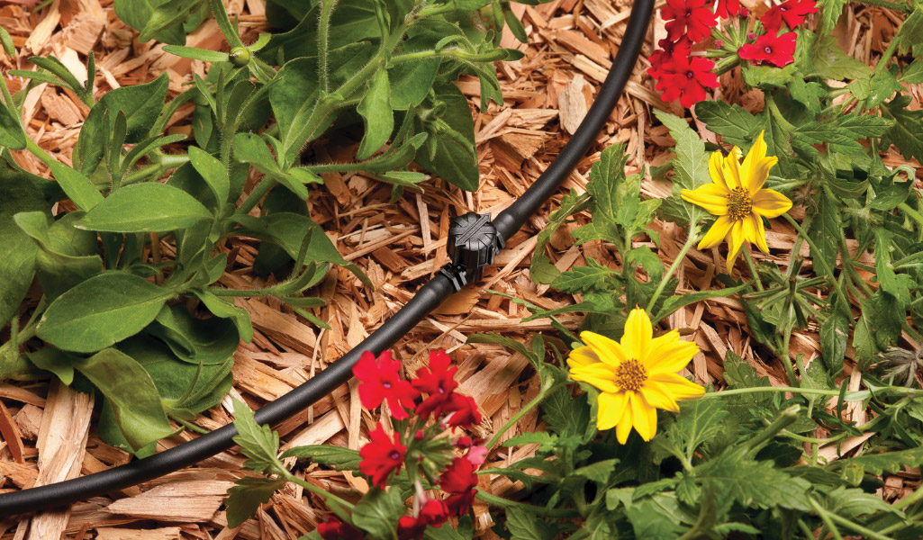 Drip irrigation waters a flower bed.