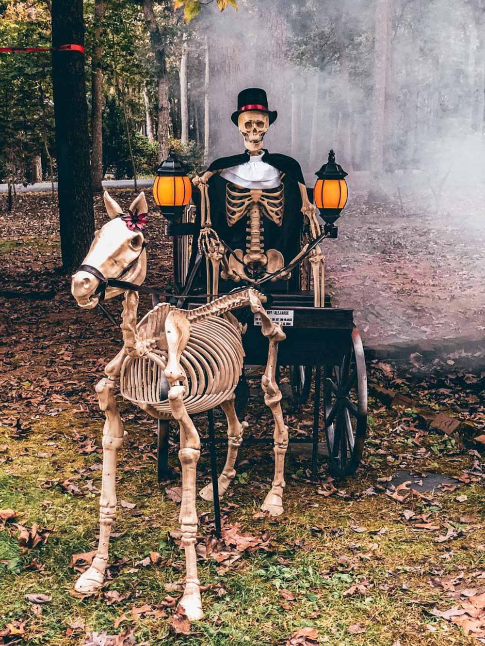 A skeleton driving a haunted hearse with a skeleton pony.