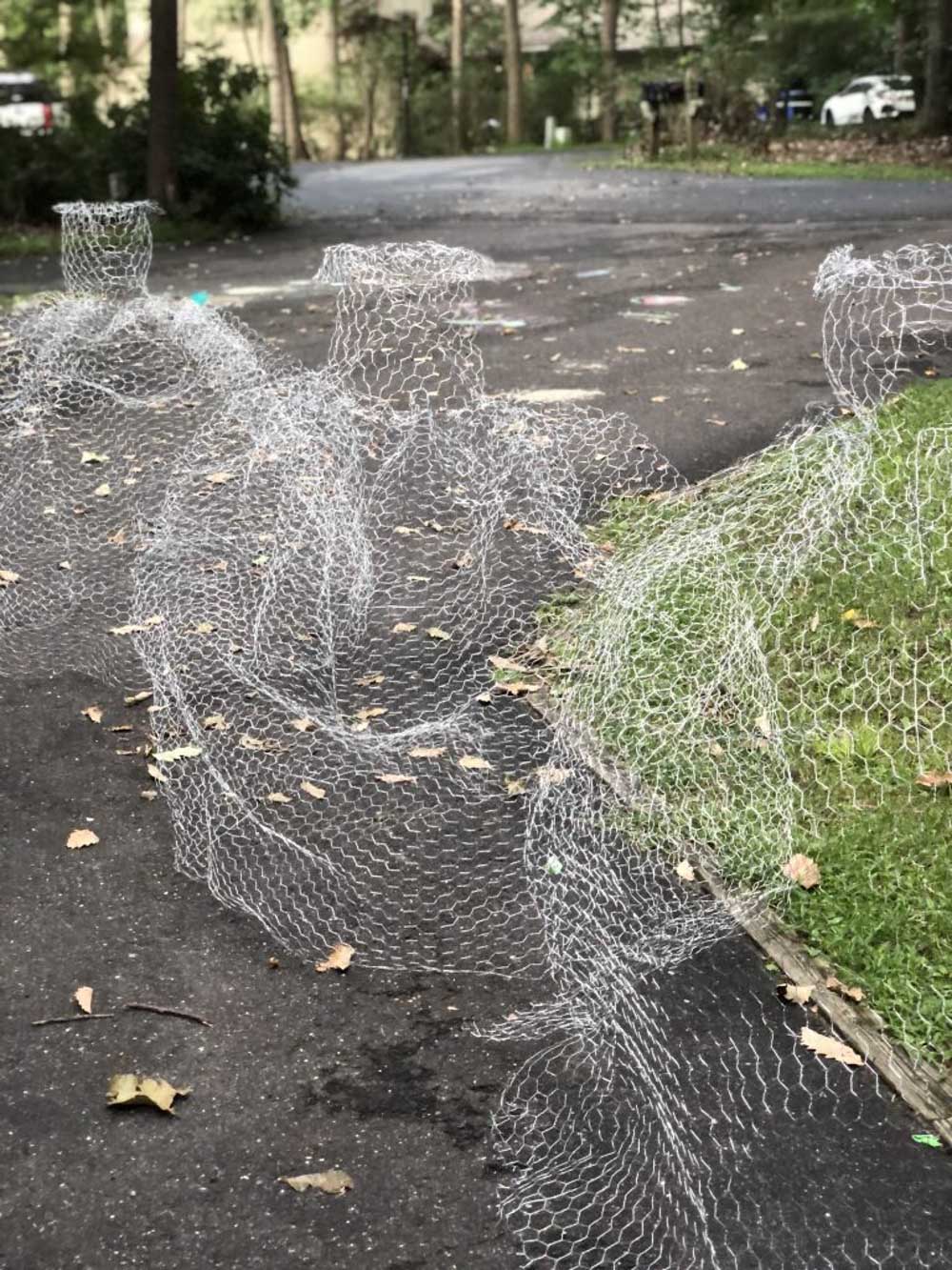 A driveway filled with a group of molded chicken wire.