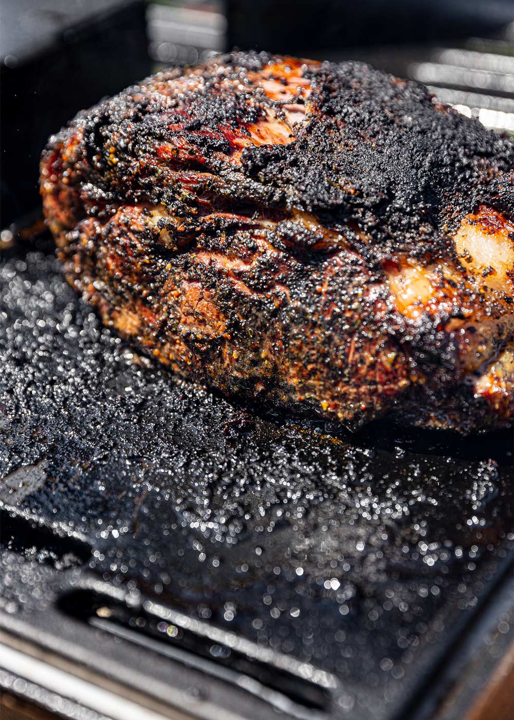 Finished ribeye roast on the grill. Finished ribeye roast on the grill.