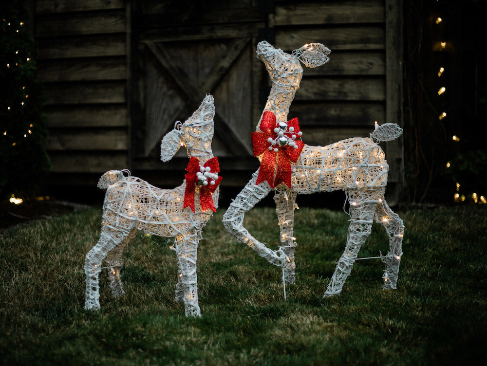 Close up shot of two holiday reindeer in the yard