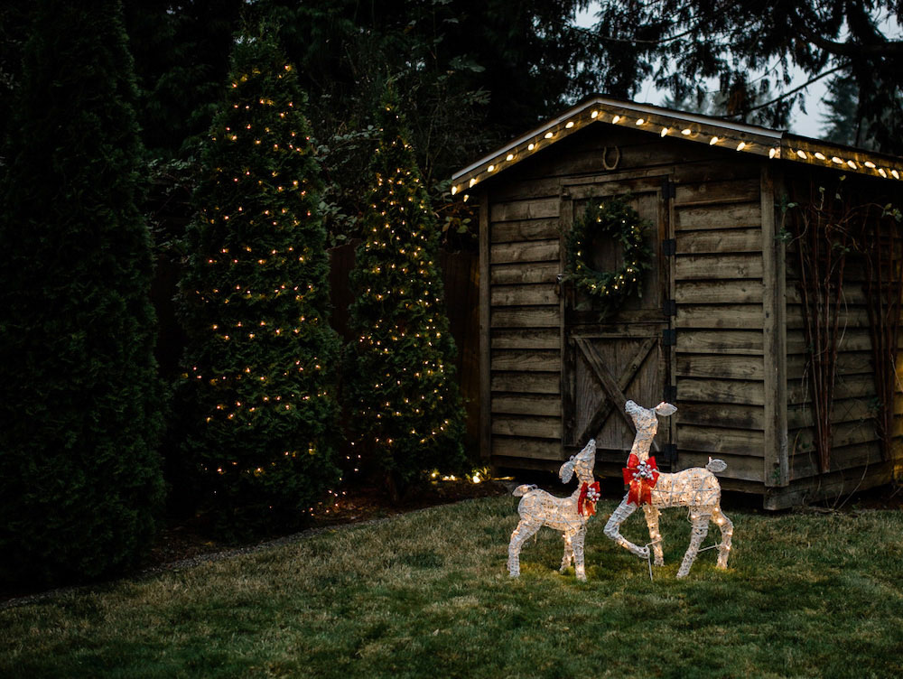 Wide shot of two holiday reindeer in the yard in front of a wooden shed
