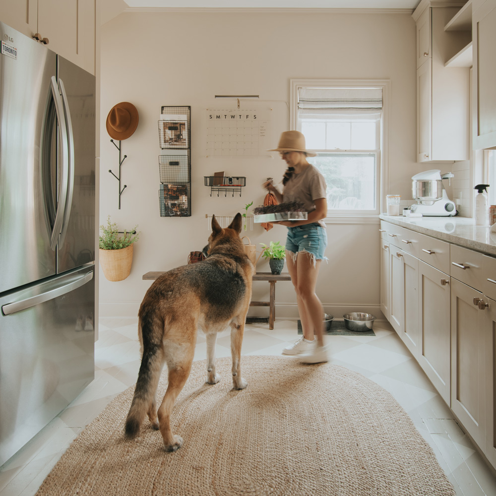 A person and a dog in the kitchen space.