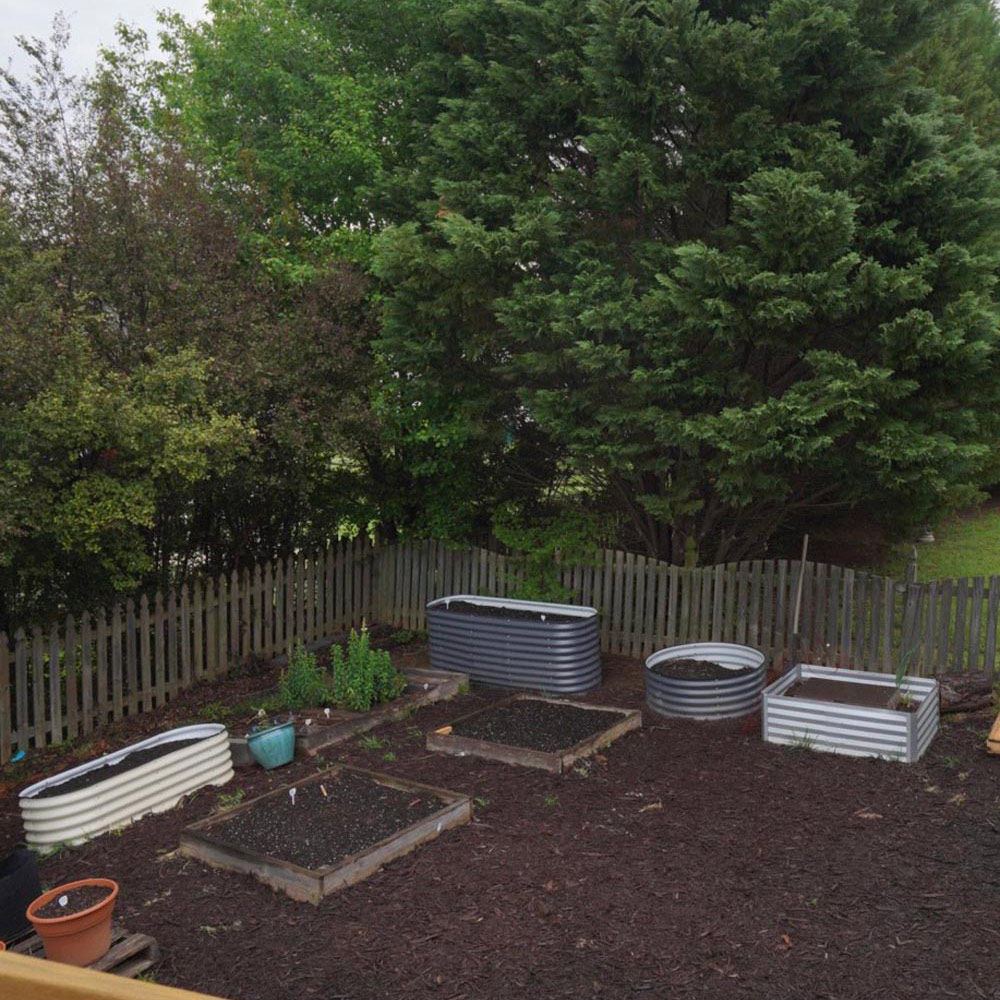 Refreshed backyard garden.