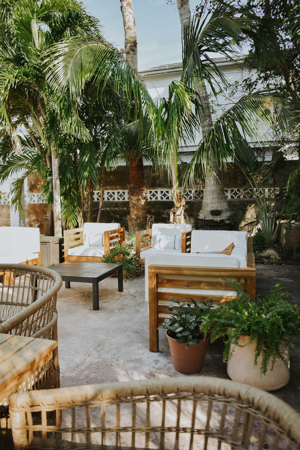 A completed patio area with chairs, plants, and palm trees. A completed patio area with chairs, plants, and palm trees.