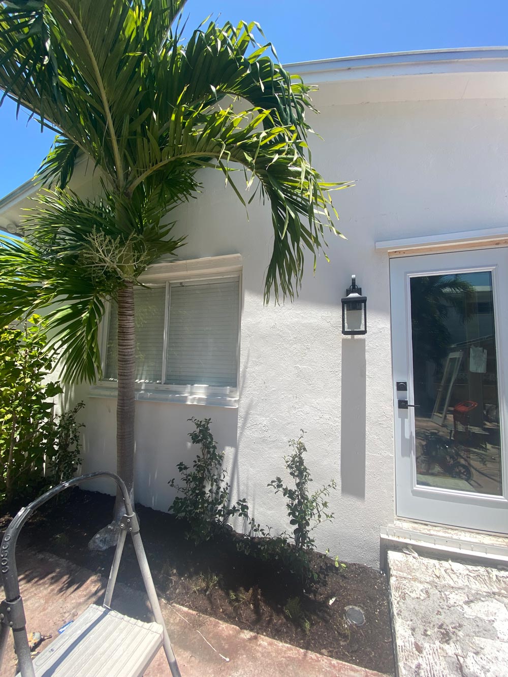 An exterior wall painted white with a palm tree nearby. An exterior wall painted white with a palm tree nearby.