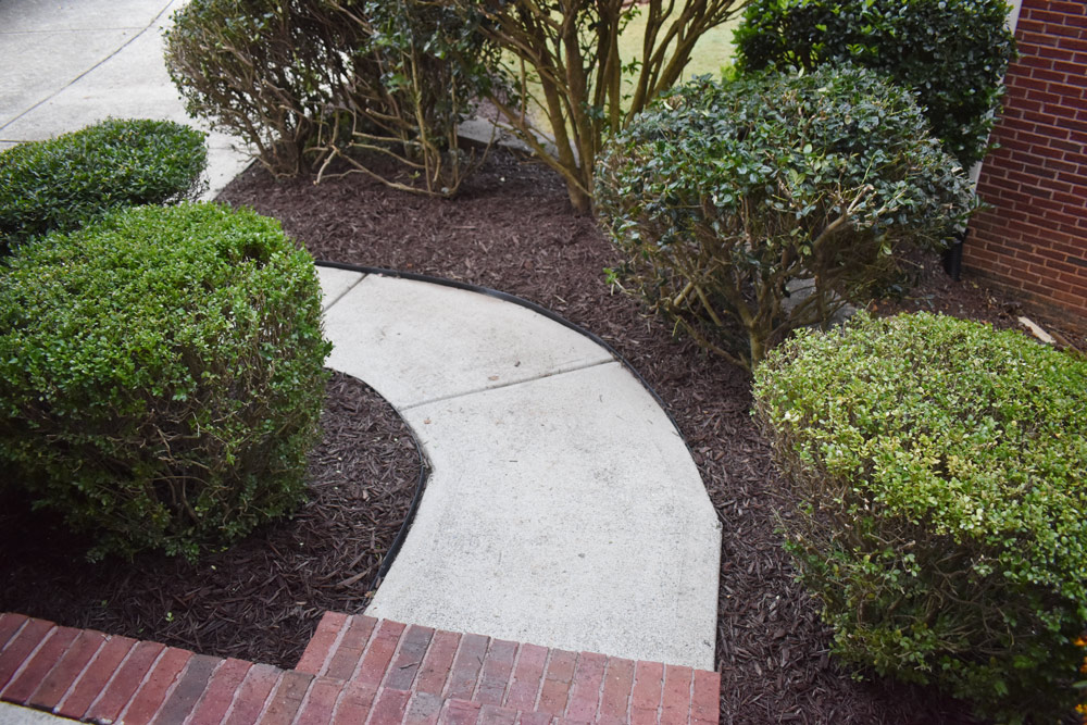 Wide shot of the finished look when Vigoro mulch is laid out at the outdoor entryway. Wide shot of the finished look when Vigoro mulch is laid out at the outdoor entryway.