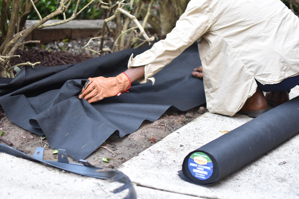 A woman laying down black Vigoro landscape fabric onto a strip of dirt next to a sidewalk. A woman laying down black Vigoro landscape fabric onto a strip of dirt next to a sidewalk.