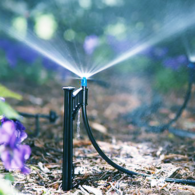 Lawn Watering Tips & Techniques