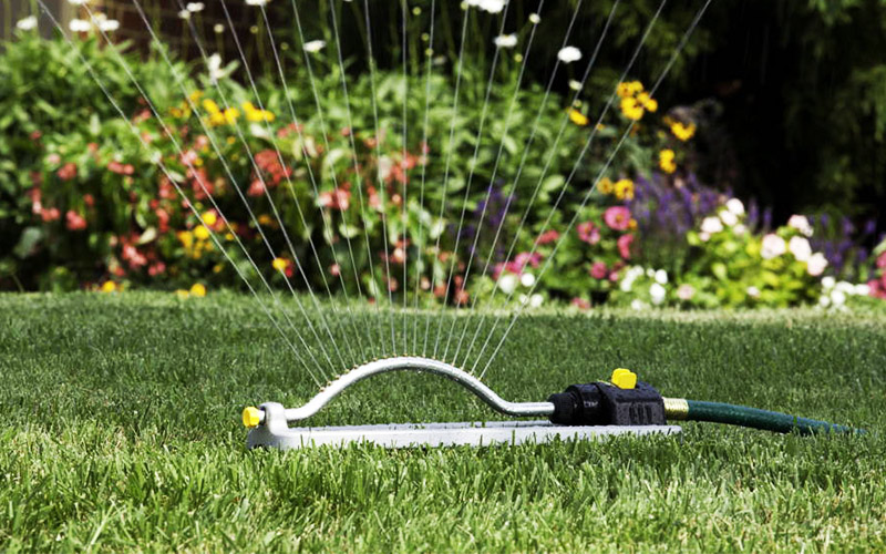 Lawn Watering Tips and Techniques