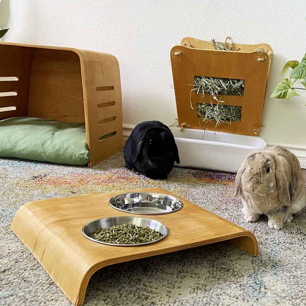 Rabbit eating from a transformed table end