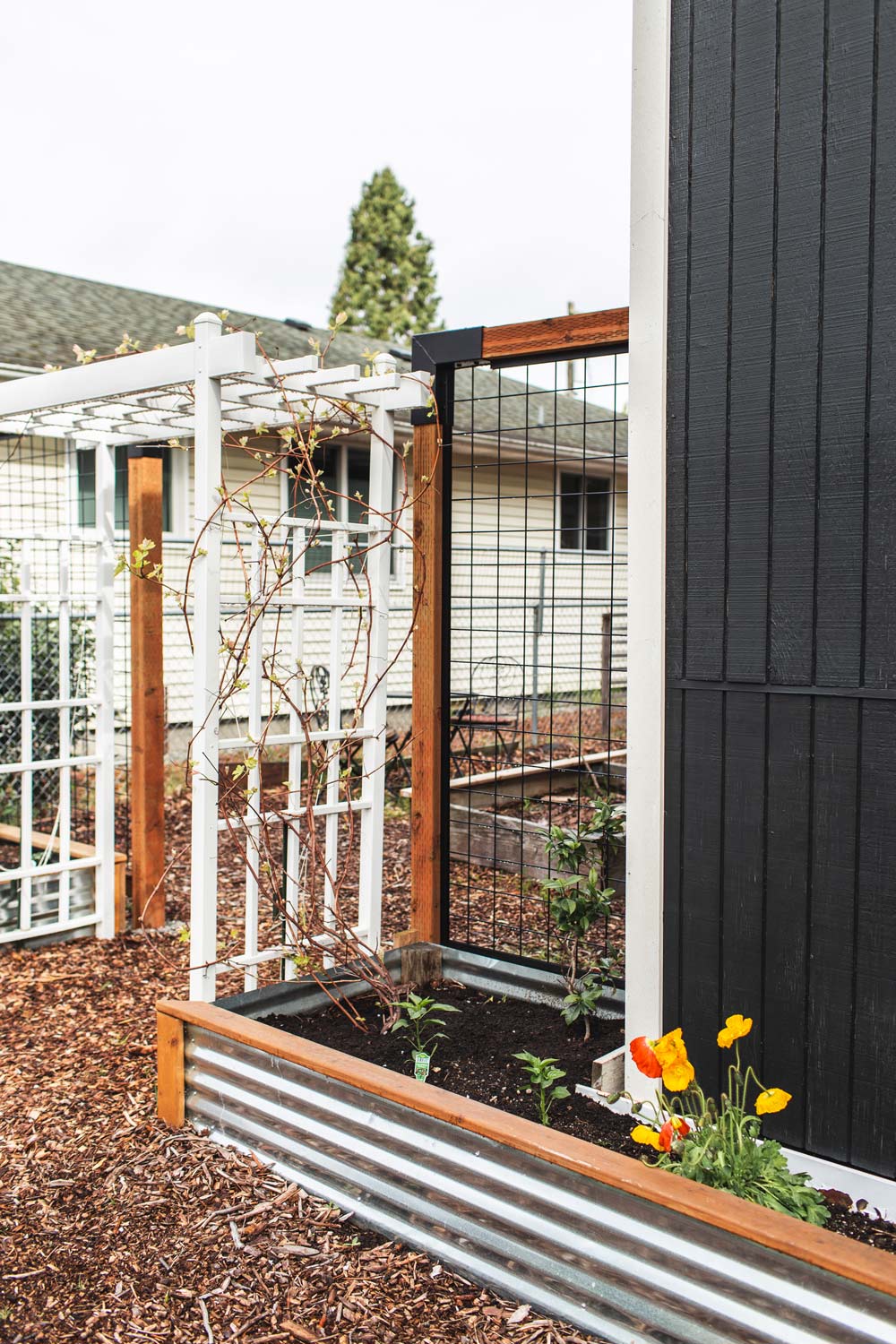Backyard space with a trellis and garden bed.