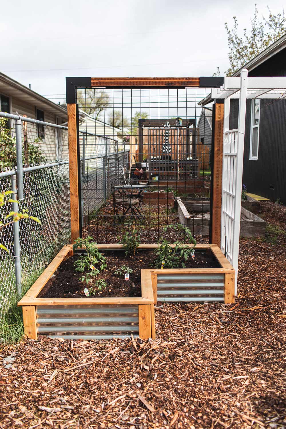 A rasied garden bed with plants, a trellis, and mulched ground.