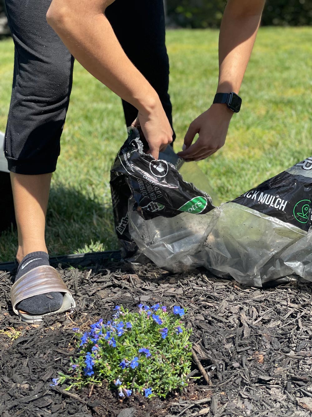 Person opening a bag of Earthgro black mulch. Person opening a bag of Earthgro black mulch.