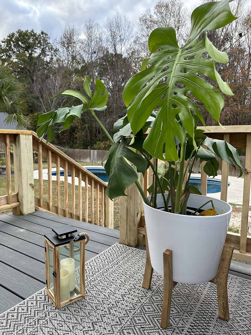 A lantern sitting next to a potted plant.