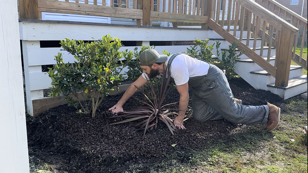 A man adding mulch to the bushes surrounding his outdoor deck.