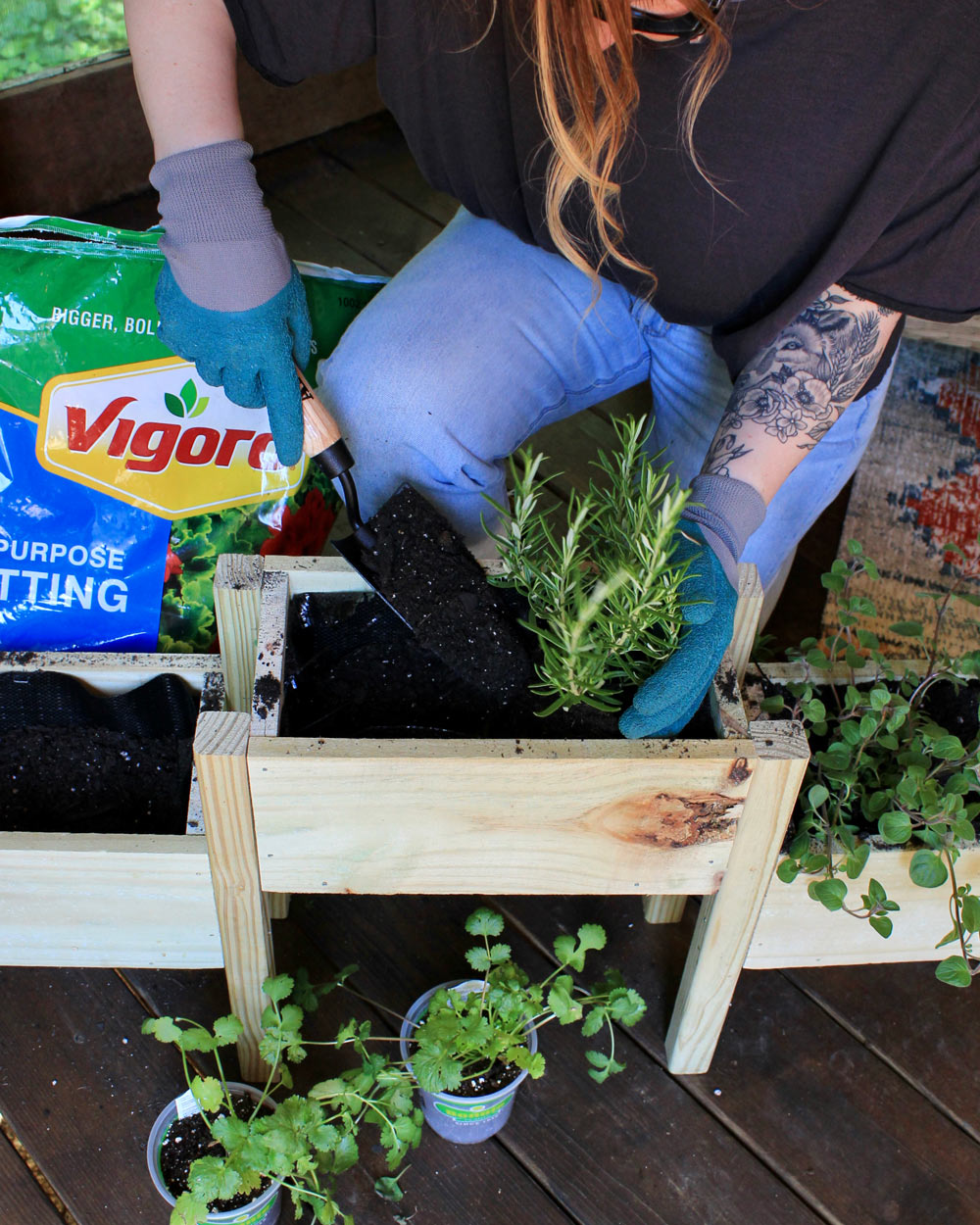 A person with gloves on, putting fresh plants into a bed of soil. A person with gloves on, putting fresh plants into a bed of soil.
