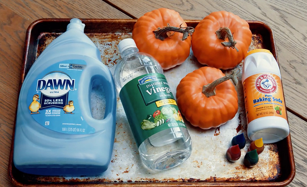 The materials for creating pumpkin volcanoes. The materials for creating pumpkin volcanoes.