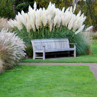 A lawn surrounded by a walking path. A lawn surrounded by a walking path.