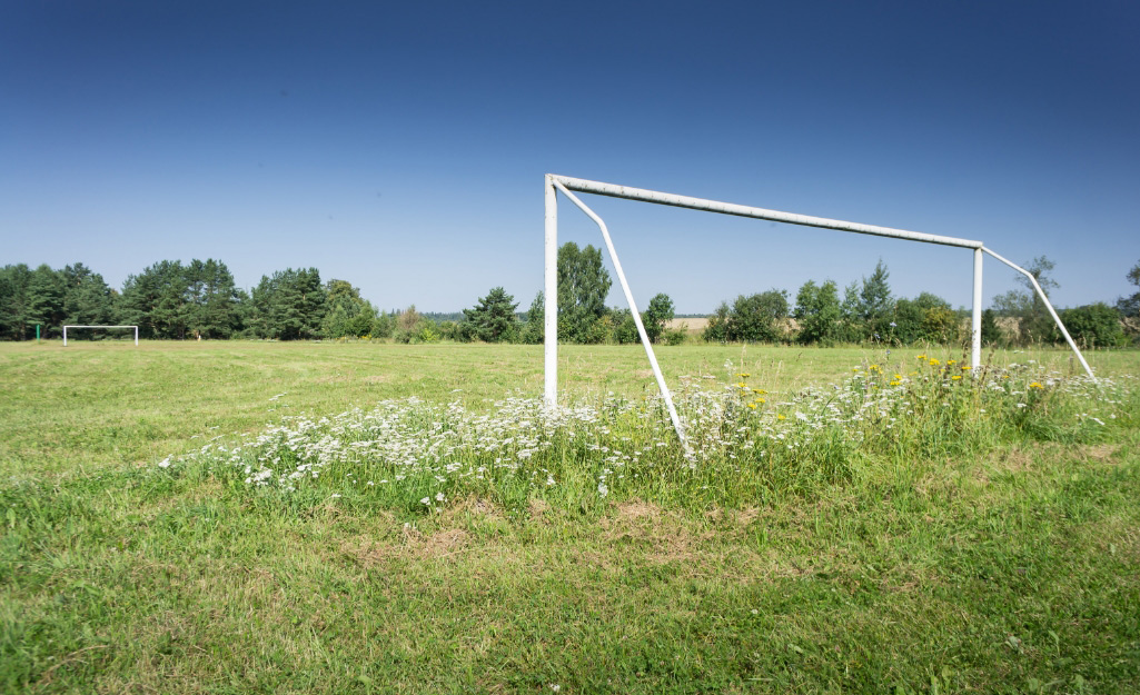 Some playgrounds are accompanied by soccer goals for multiple types of play.
