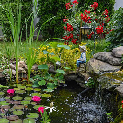 Types Of Pond Cleaners And Accessories The Home Depot