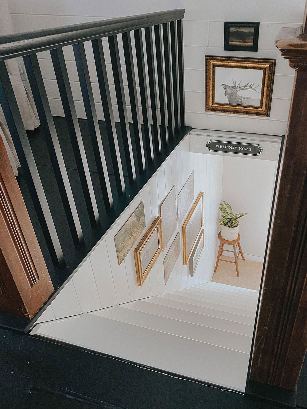 Angled shot of white staircase from the top with a plant on a stool at foot of stairs.