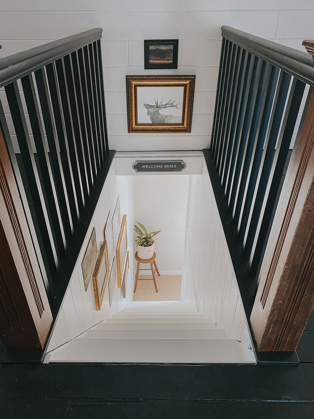 Straight shot of white staircase and black banister with a plant on a stool.