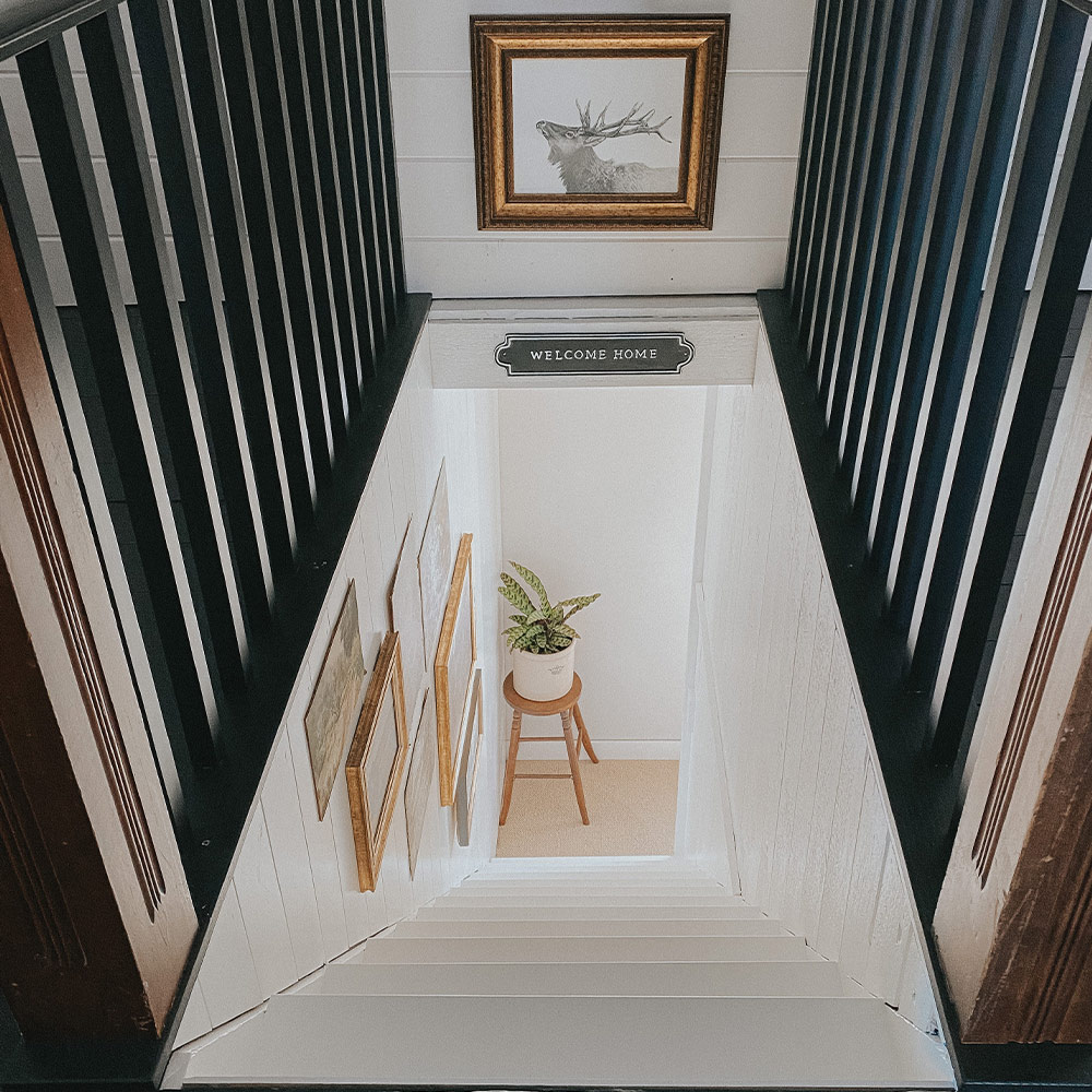 Straight shot of white staircase and black banister with a plant on a stool.