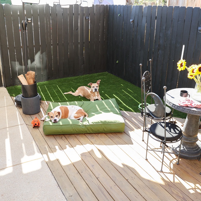 Corner of outdoor patio with two dogs on a triangle of turf and a small round garden table with a vase of sunflowers.