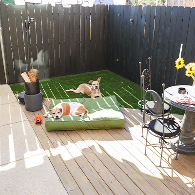Pet Turf to the Rescue 