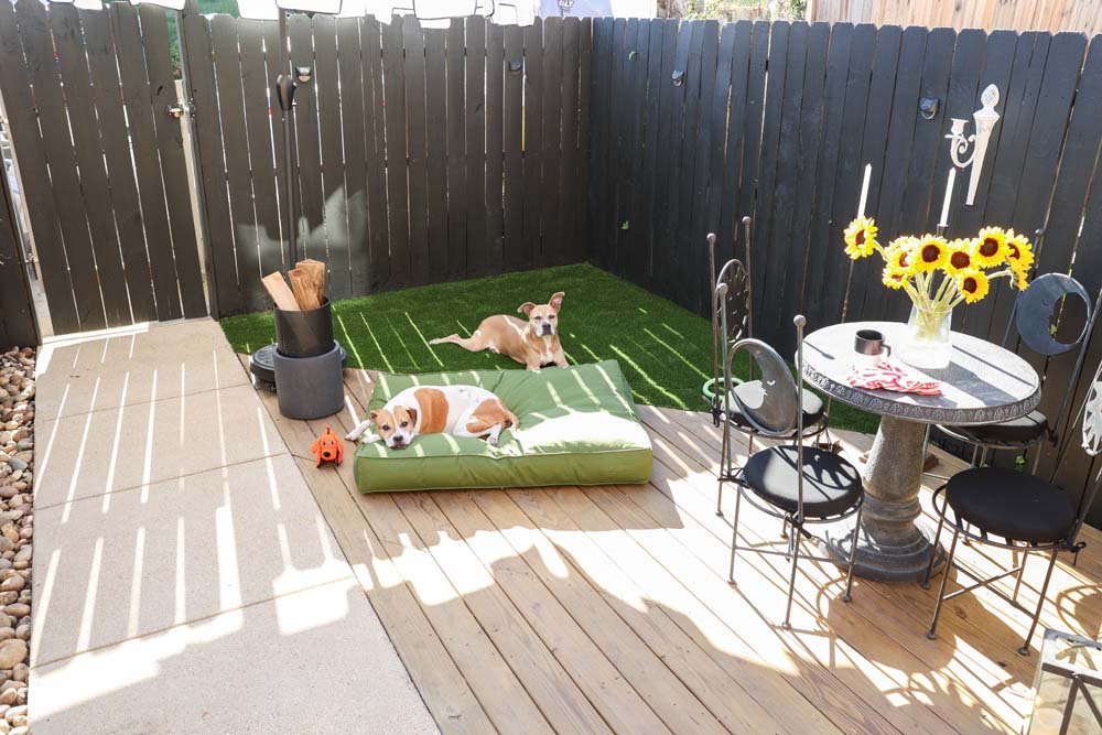 Corner of outdoor patio with two dogs on a triangle of turf and a small round garden table with a vase of sunflowers.