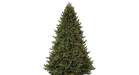Best Real Christmas Trees For You The
