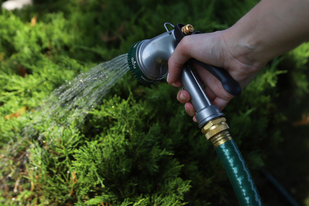 A person waters plants with a garden hose. A person waters plants with a garden hose.