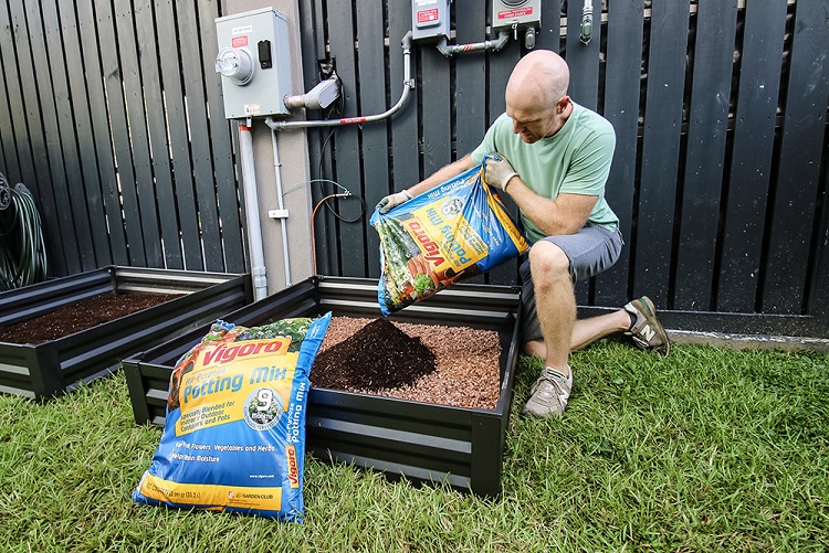 A main pouring Vigoro potting mix in his raised flower bed.