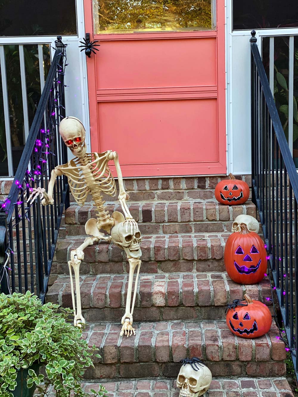 A skeleton and pumpkins sitting on a brick stairway in front of a pink door.