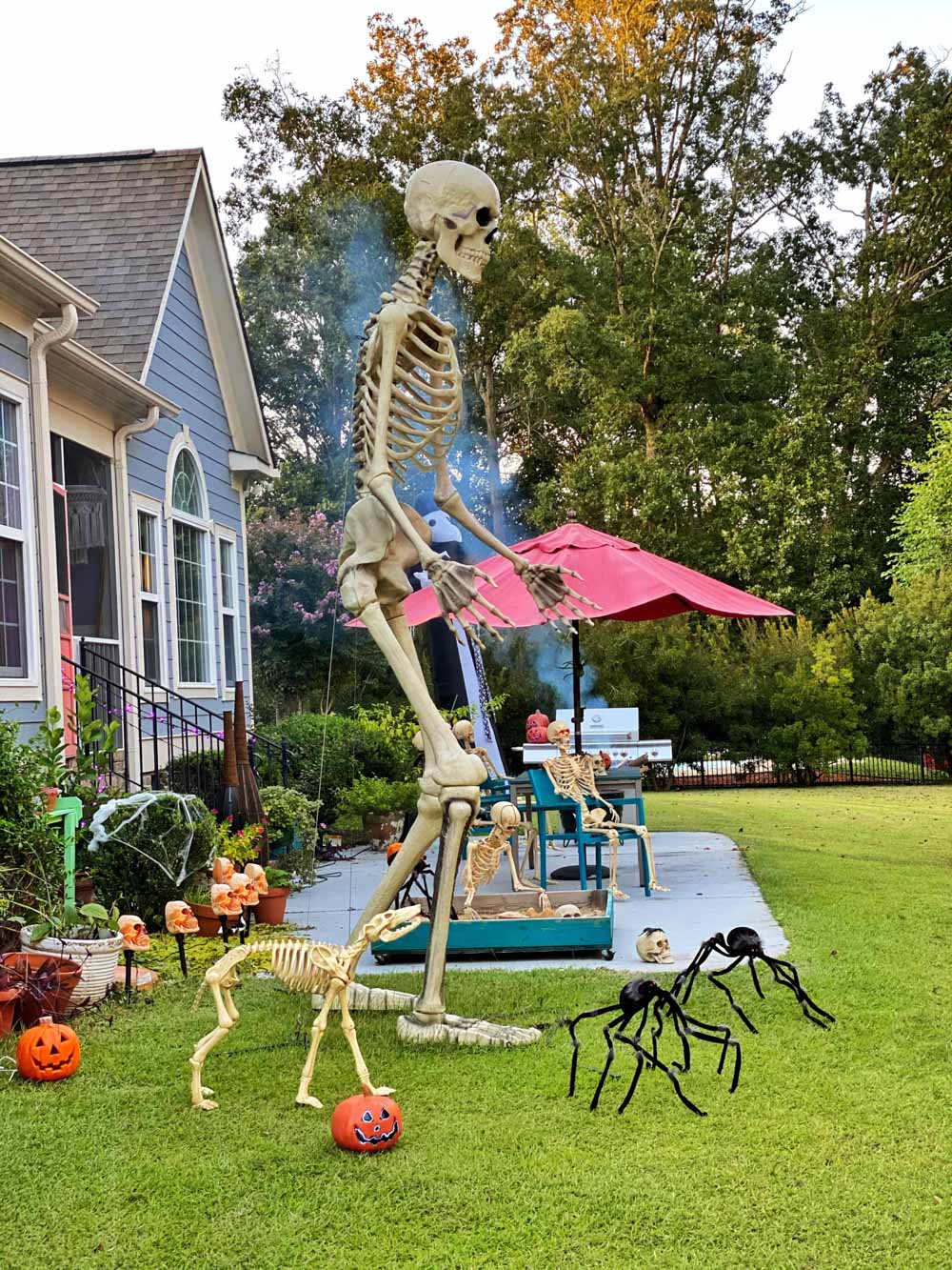 The side view of a front yard decorated for Halloween with skeletons, spiders, and pumpkins.