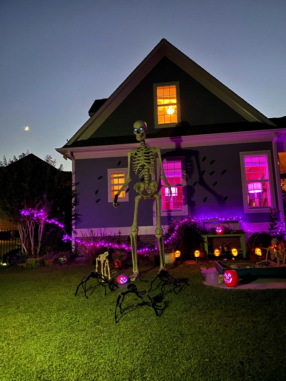 A giant skeleton standing in a dark front yard lit up by purple Halloween lights.