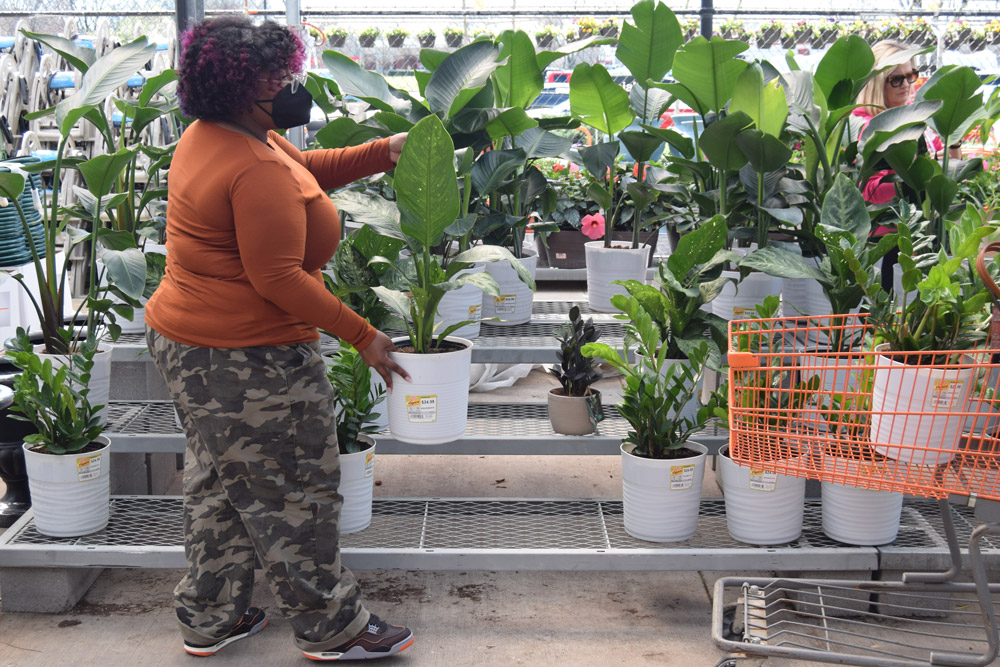 A woman shopping for plants at Home Depot.