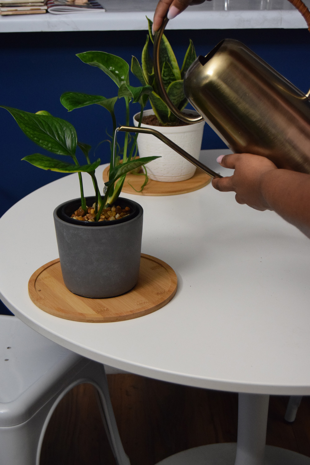 A woman’s hands using a golden watering can to water a potted plant.