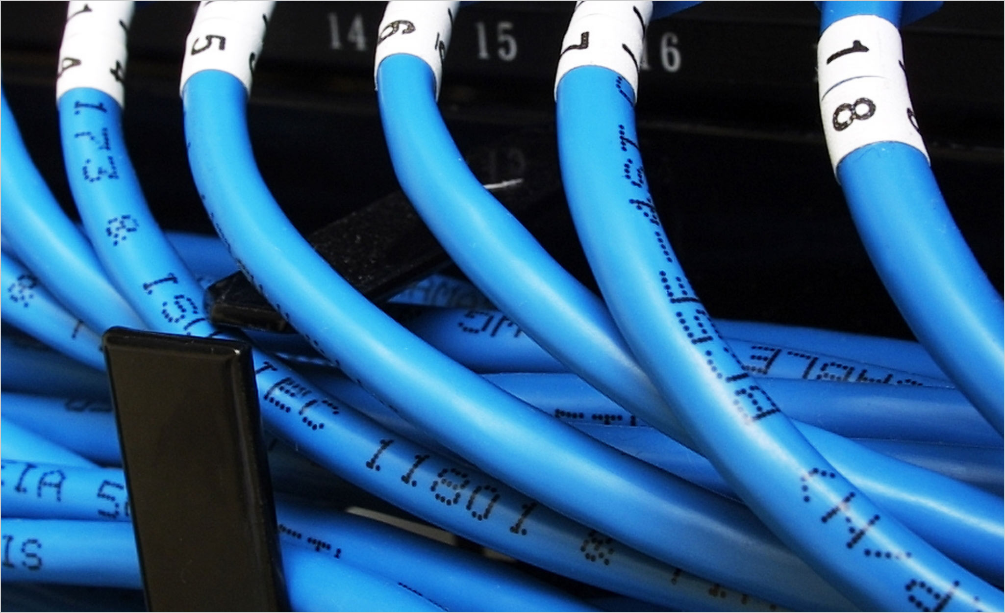 Blue wires feature identifying labels.
