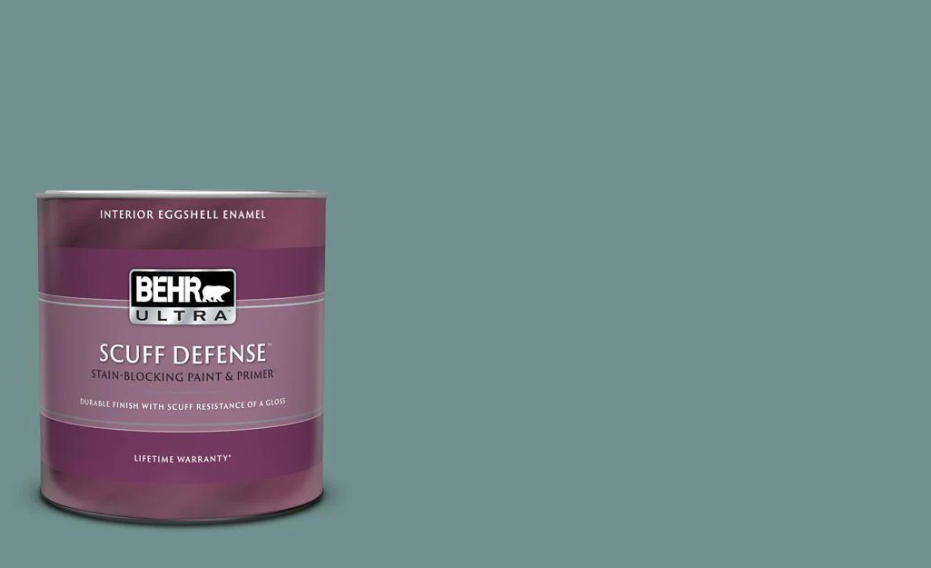 BEHR paint color Dragonfly