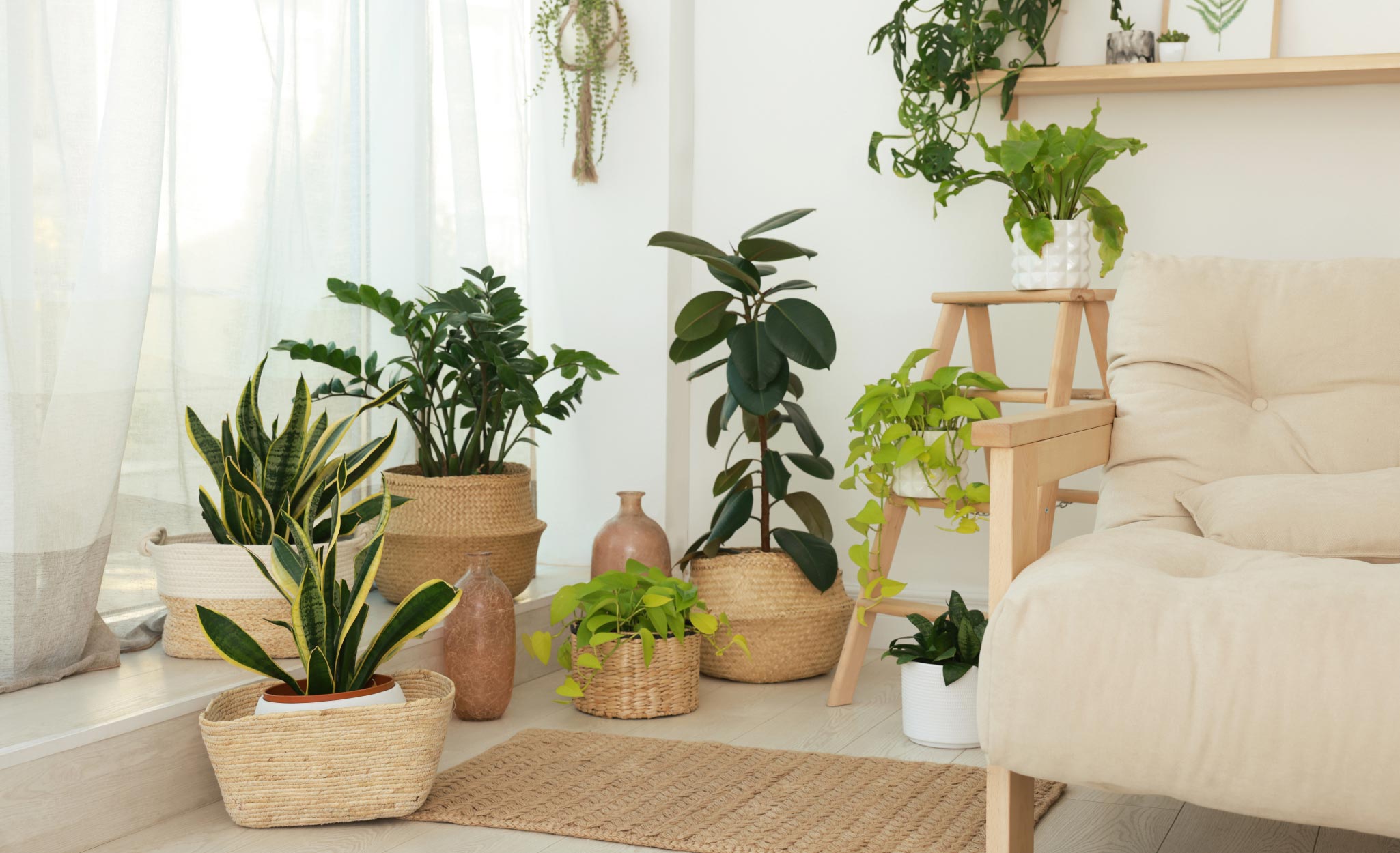 Artificial plants decorate a living room.