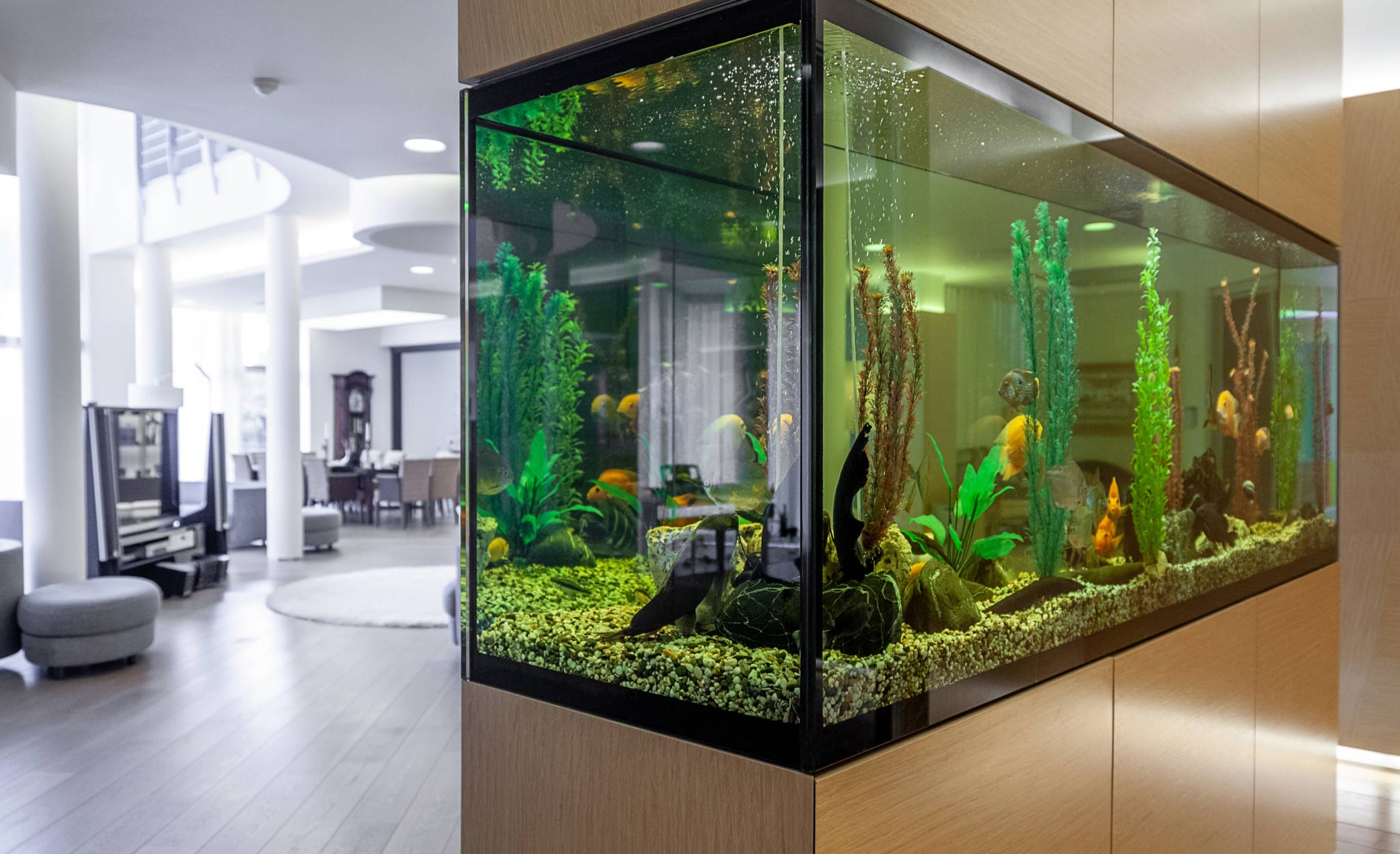 A large aquarium provides a striking decorative element.