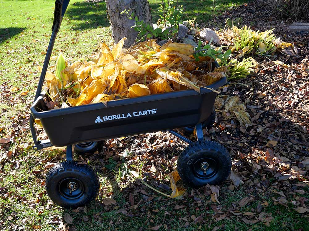 The scattered leaves being obtained in a gardening cart.