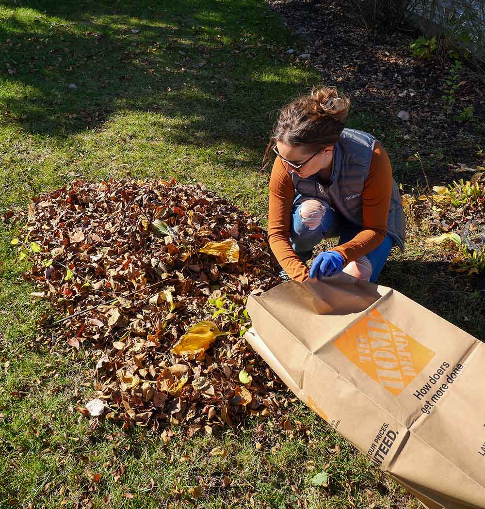 A woman collecting leaves in a yard waste bag.