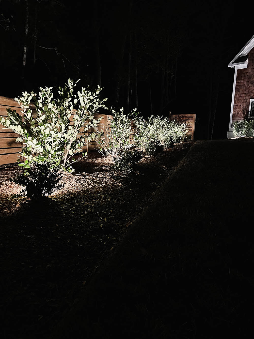 Bushes at night being lit by small outdoor lights.
