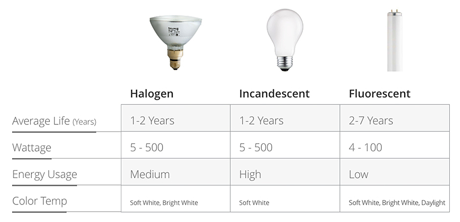 Types of bulbs chart