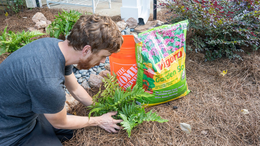 Tyson planting a plant next to Vigoro All Purpose Garden Soil.