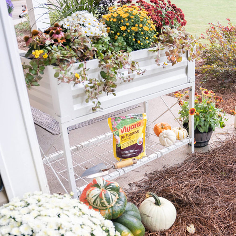 Yard with white plant stand and a white pumpkin.