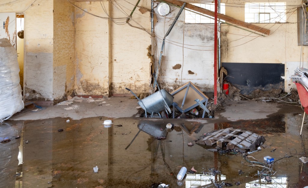 The Full Guide: Water Damage Restoration - The Home Depot
